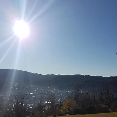 Les Dryades Vue Montagne 公寓