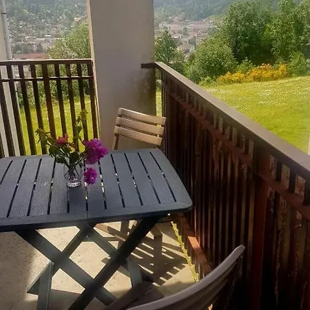 Les Dryades Vue Montagne * Gérardmer