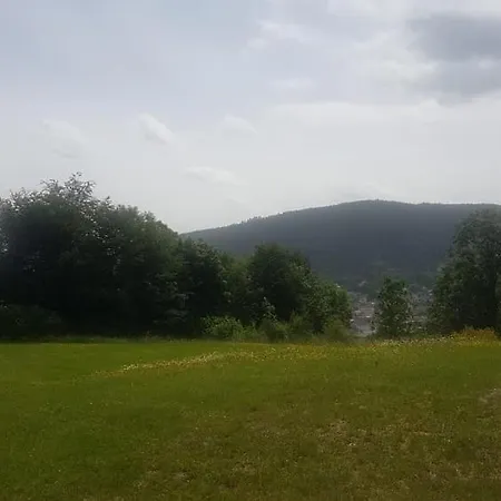 Les Dryades Vue Montagne * 热拉梅