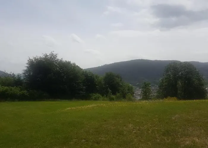 Les Dryades Vue Montagne * Gérardmer