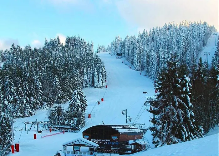 Les Dryades Vue Montagne *